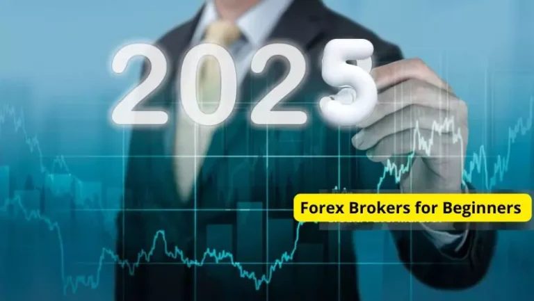 Forex Brokers for Beginners in 2025
