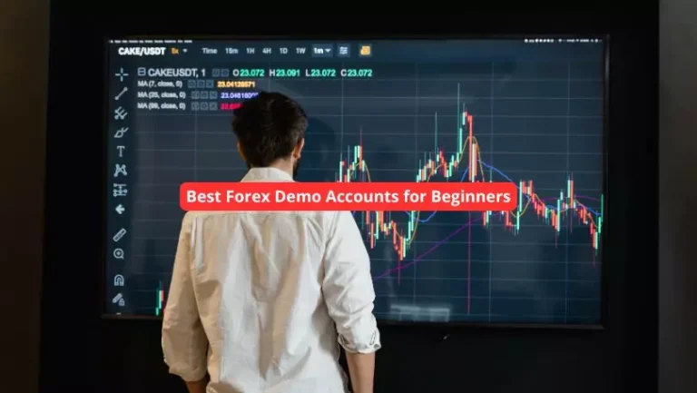 Best Forex Demo Accounts for Beginners